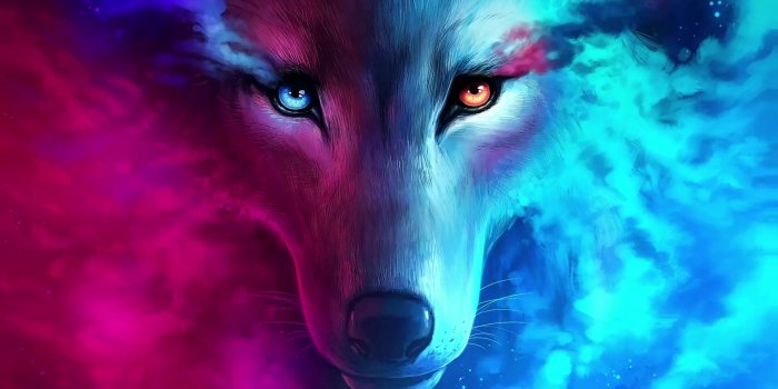 1920x1080 Wolf Fantasy Live Wallpaper - WallpaperWaifu