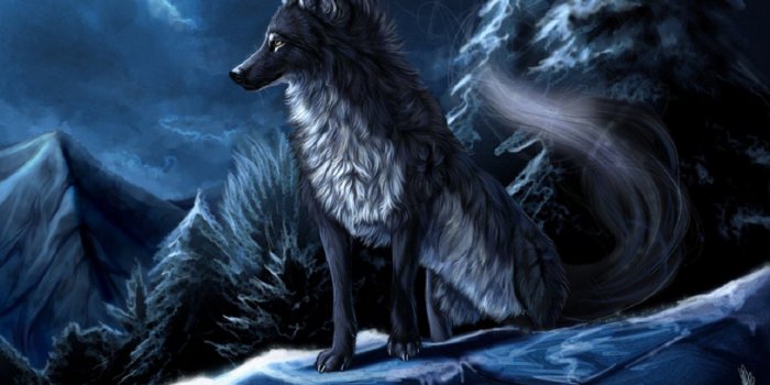 1920x1080 Wolf wolves predator carnivore winter snow artwork f wallpaper | 1920x1080  | 649378 | WallpaperUP