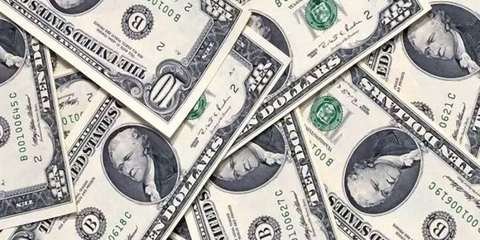 1080x1920 Us Dollar HD Wallpapers