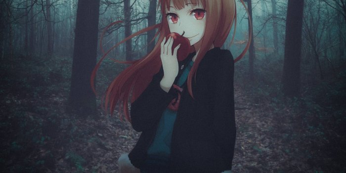 1920x1440 Holo Spice and Wolf Wallpaper, HD Anime 4K Wallpapers, Images, Photos and  Background - Wallpapers Den