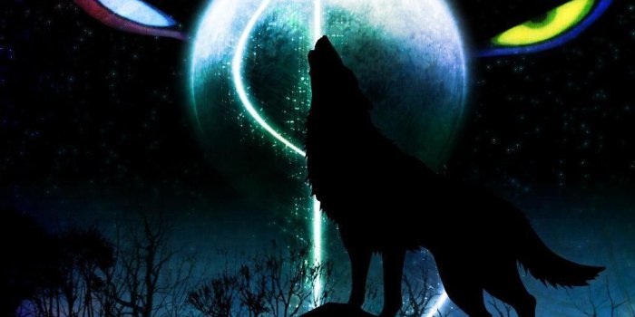 1024x768 Dark Wolf Anime Wallpapers