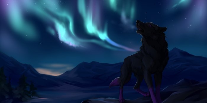 3000x2000 northern, Lights, Mountains, Wolves, Star, Wolf Wallpapers HD / Desktop and  Mobile Backgrounds