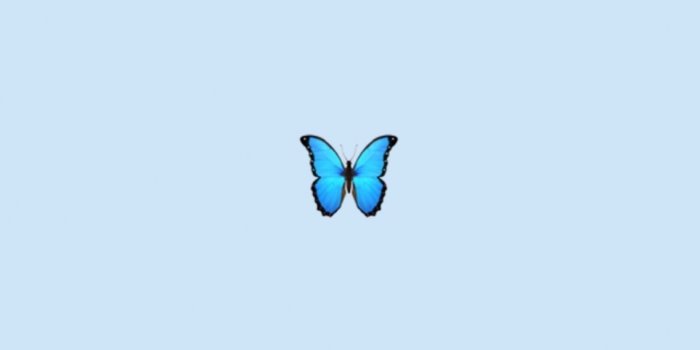 1136x2017 Cute blue butterfly Wallpapers Download | MobCup