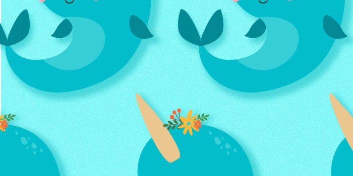 1183x2560 Cute Narwhal Wallpaper - Cute Wallpaper for Phone - Wallpapers Clan