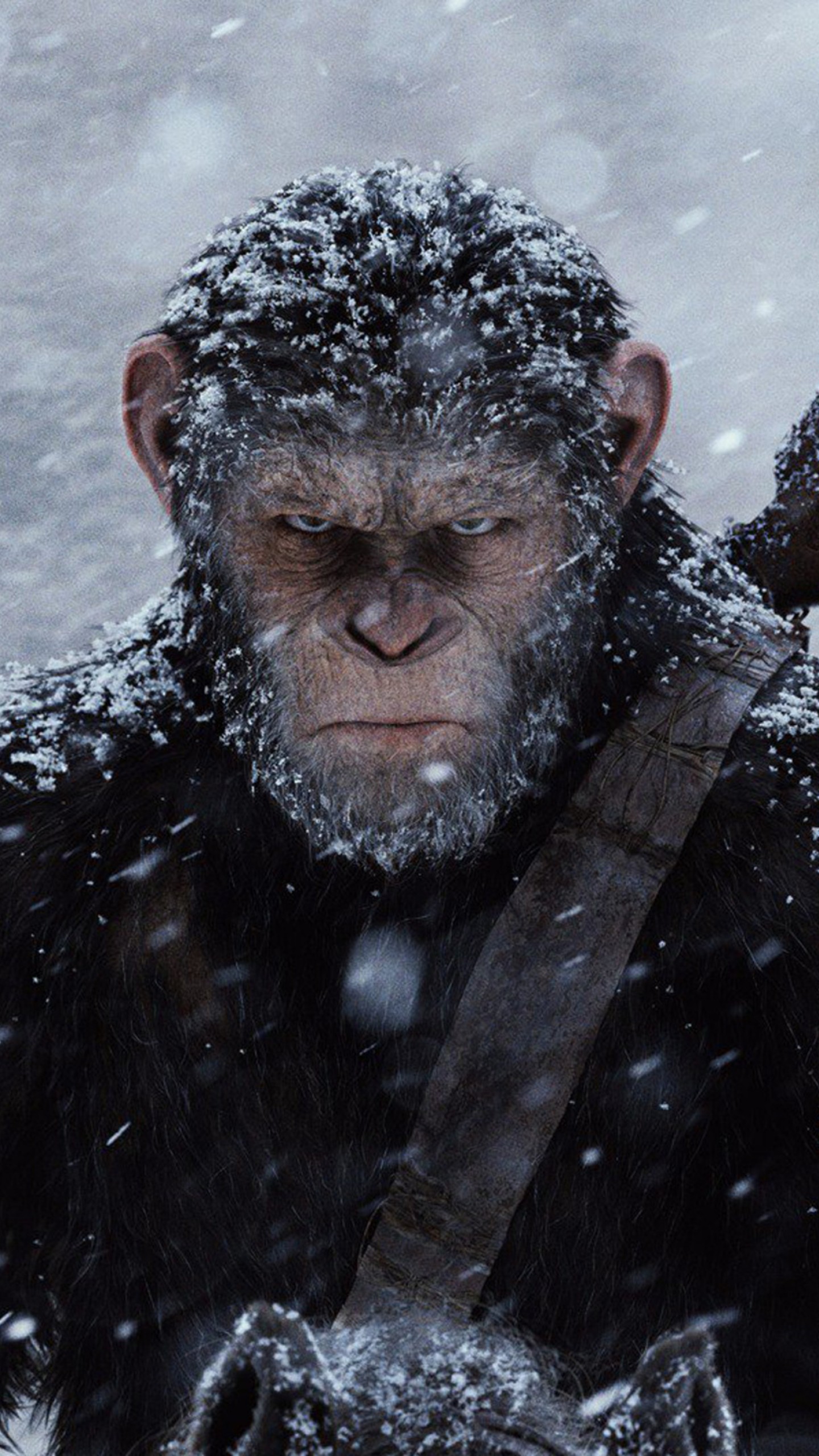 1440x2560 Wallpaper War for the Planet of the Apes, ape, 4k, Movies #12793