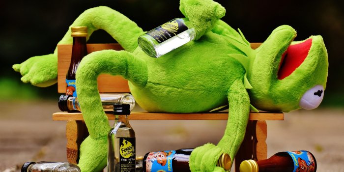 2560x1695 Kermit The Frog With Glass Bottles Lying On Wooden Bench Wallpaper, Drink -  Wallpaperforu