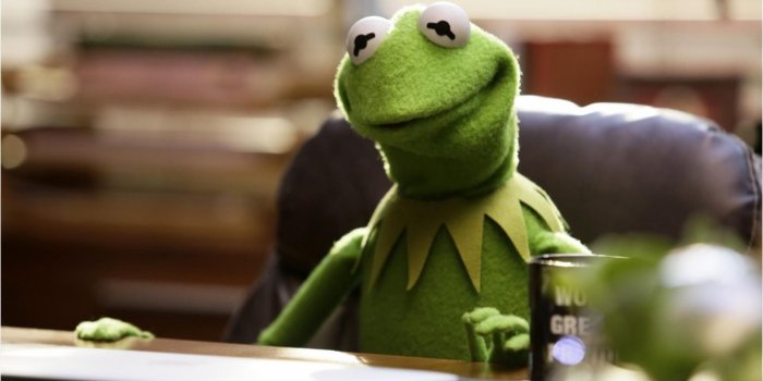 1920x1080 20 Hearts Kermit the Frog Wallpapers - Wallpaperboat