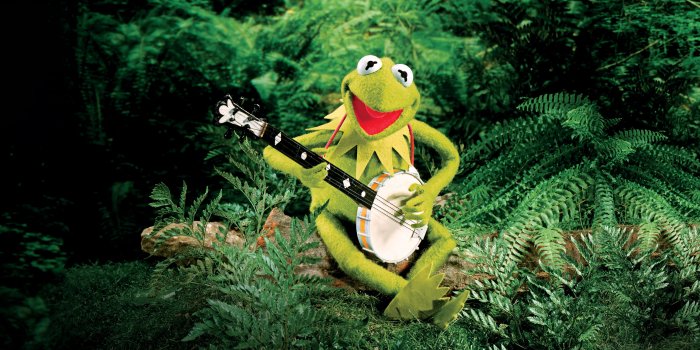 3840x2160 4K Kermit the Frog Wallpapers | Background Images