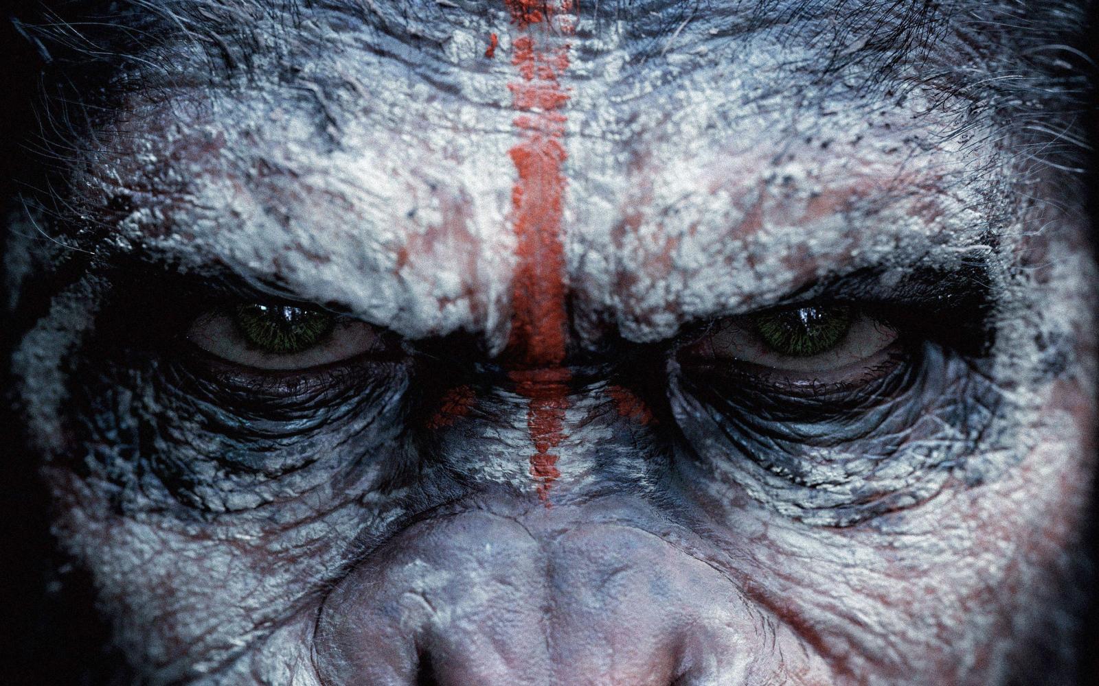 2880x1800 Caesar Planet Of The Apes Wallpapers