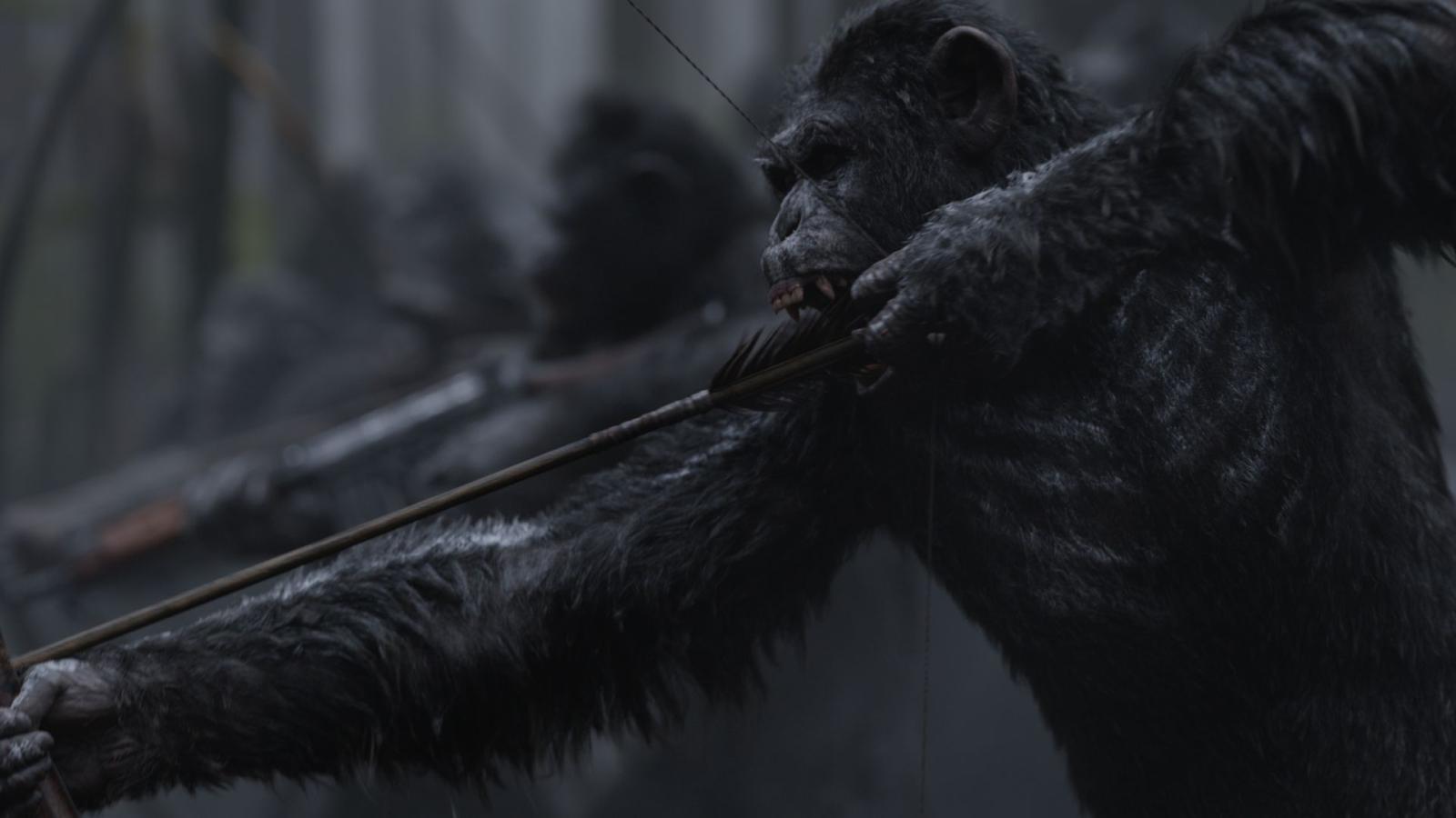 1920x1080 Wallpaper War for the Planet of the Apes, ape, 4k, Movies #12787