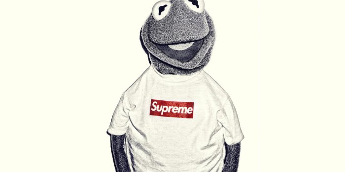1920x1080 Wallpaper 1920x1080 Kermit The Frog Supreme - Wallpaperforu