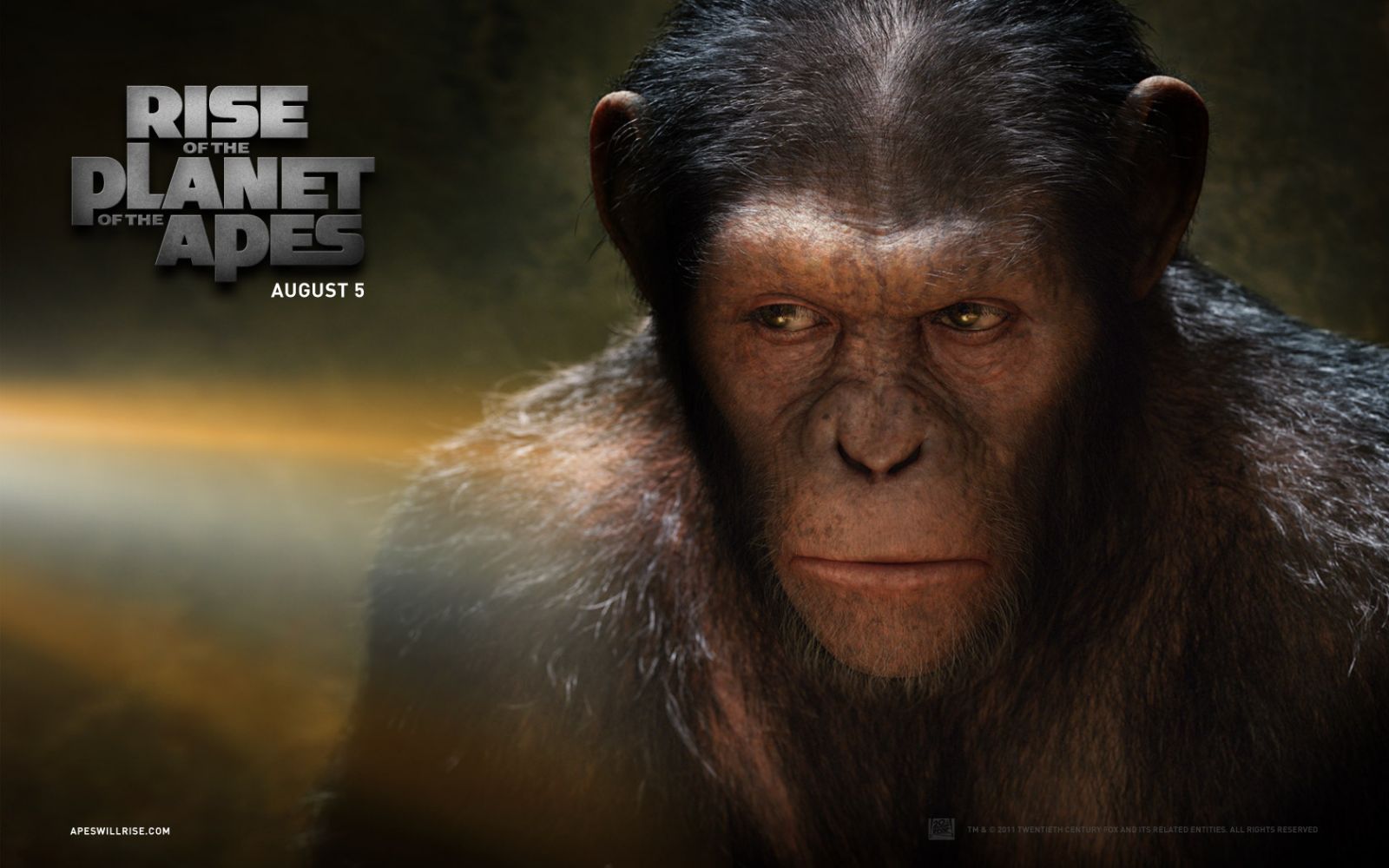 1600x1000 Rise Of The Planet Of The Apes Wallpaper