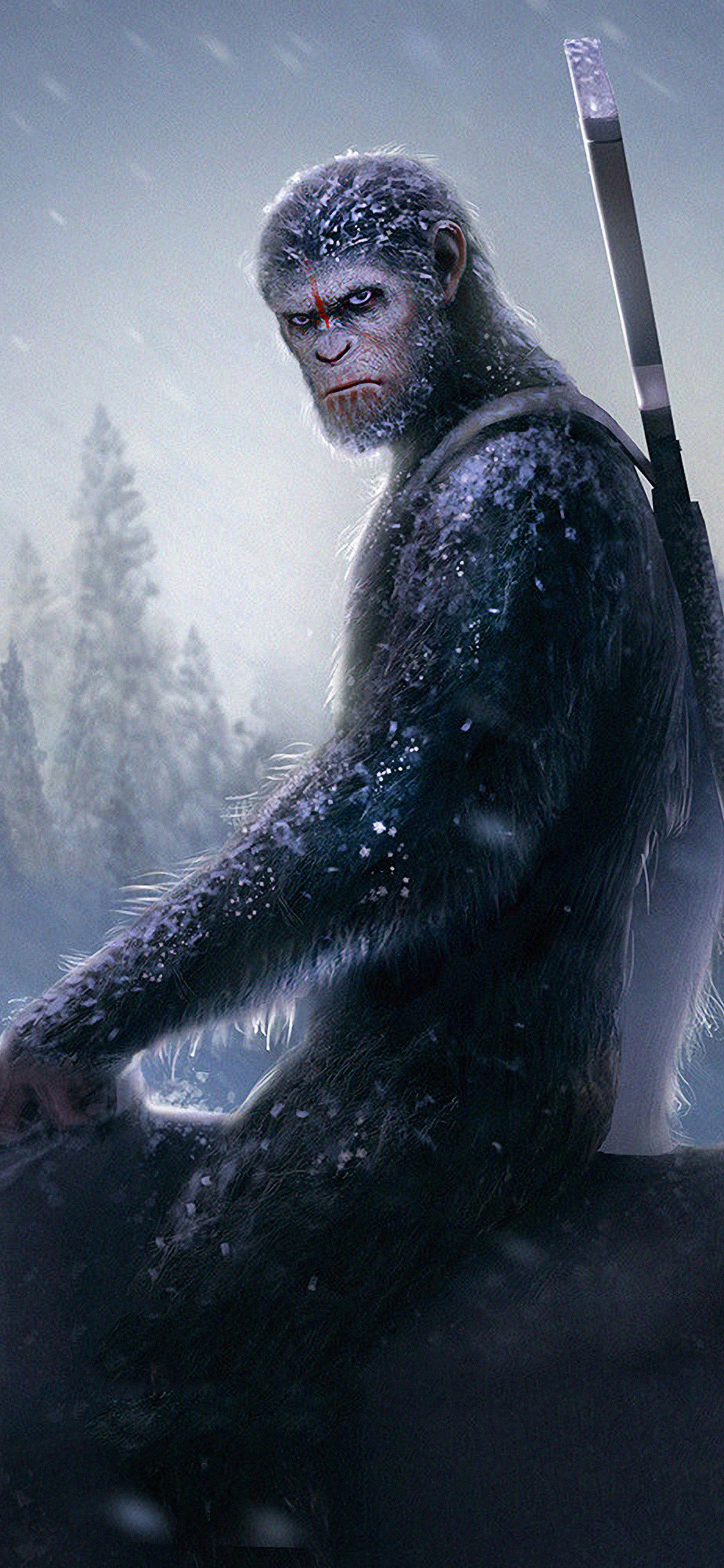 1125x2436 1125x2436 Caesar Iphone XS,Iphone 10,Iphone X HD 4k Wallpapers, Images,  Backgrounds, Photos and Pictures