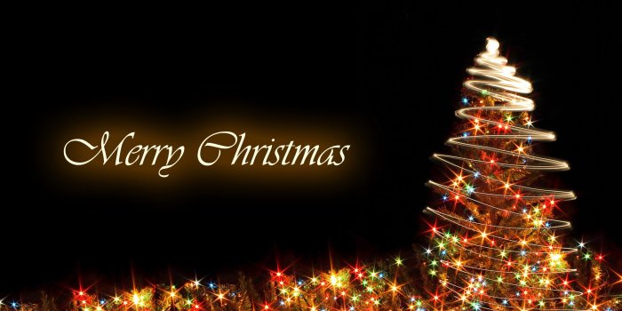 2560x1500 Merry Christmas tree free download wallpaper - 2018