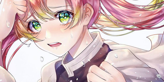 2560x1600 Download wallpapers Mitsuri Kanroji, battle, Demon Slayer, protagonist,  Demon Slayer Kimetsu no Yaiba, Kanroji Mitsuri, manga, Demon Hunter,  Kanroji Mitsuri Kimetsu no Yaiba for desktop with resolution 1024x1024.  High Quality HD pictures