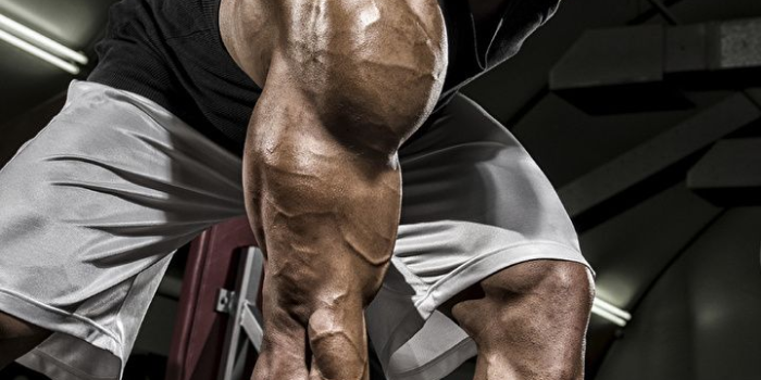 720x1280 Bodybuilding Wallpapers For Mobile | Gym art, Bodybuilding,  Fitness inspiration body