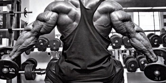 1600x1226 Bodybuilding Desktop Wallpapers - Top Free Bodybuilding Desktop Backgrounds  - WallpaperAccess