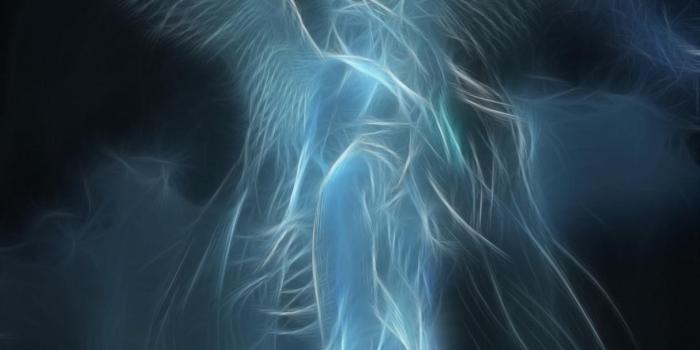 1214x1200 Soul Angel Wallpapers