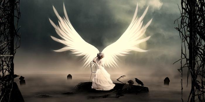 1920x1080 Free My Soul Ultra HD Desktop Background Wallpaper for 4K UHD TV :  Widescreen & UltraWide Desktop & Laptop : Tablet : Smartphone