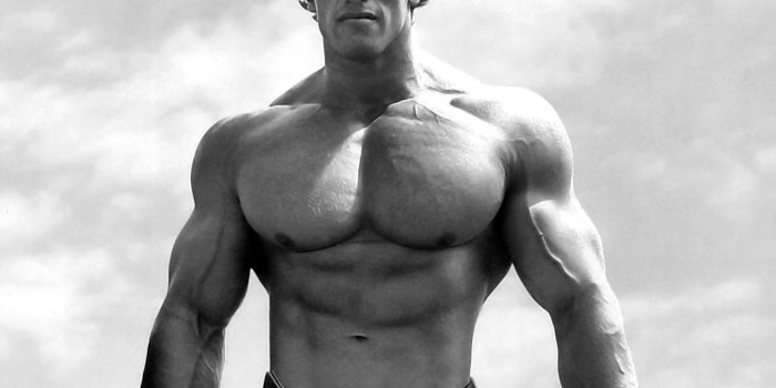 1280x1024 Wallpaper Bodybuilder, Gyms, Muscular, Arnold Schwarzenegger - Wallpaperforu