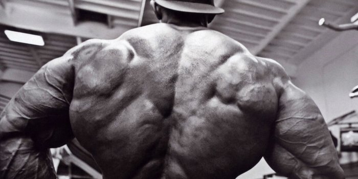 1600x1172 Bodybuilding Wallpaper