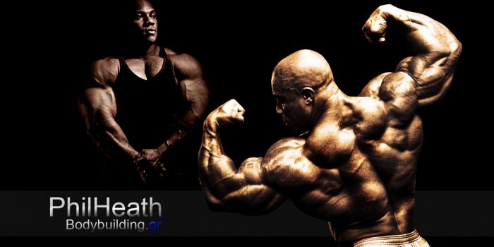 1920x1080 body building, Fitness, Muscle, Muscles, Weight, Lifting, Bodybuilding, 70  Wallpapers HD / Desktop and Mobile Backgrounds