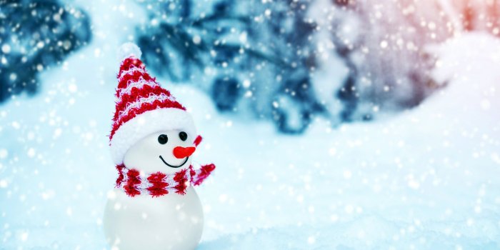 1332x850 Wallpaper christmas, winter, snow, snowman images for desktop, section  новый год - download