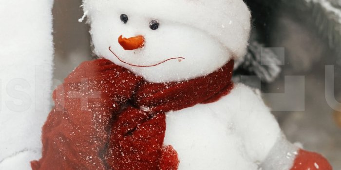 1000x1500 750+ Snowman Pictures | Download Free Images on Unsplash