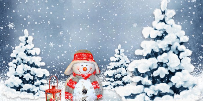 3840x2400 Funny Snowman Ultra HD Desktop Background Wallpaper for 4K UHD TV :  Widescreen & UltraWide Desktop & Laptop : Multi Display, Dual Monitor :  Tablet : Smartphone