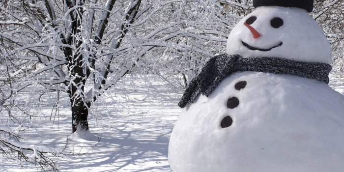 1332x850 Wallpaper snowman, Christmas, winter, snow, snowman images for desktop,  section новый год - download