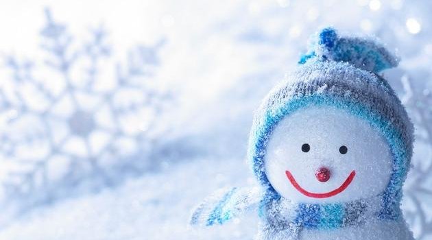 630x1280 Cute snowman wallpaper by Hannastar2901 - Download on ZEDGE™ | 28a7