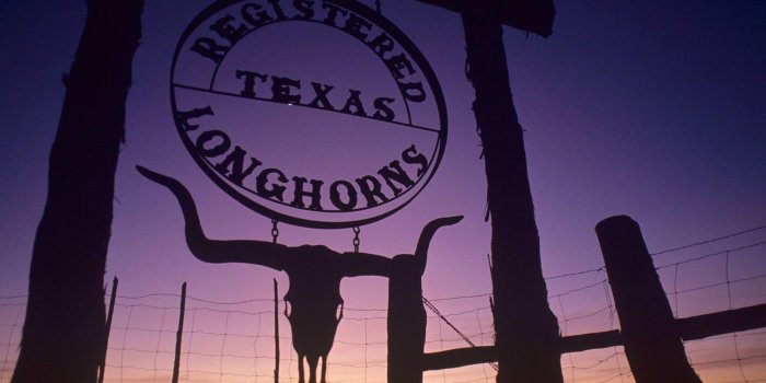 1600x1200 Texas Wallpapers