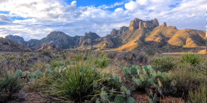 4671x3114 desert, Cactus, Landscape, Shrubs, Clouds, Mountain, Texas, National Park  Wallpapers HD / Desktop and Mobile Backgrounds
