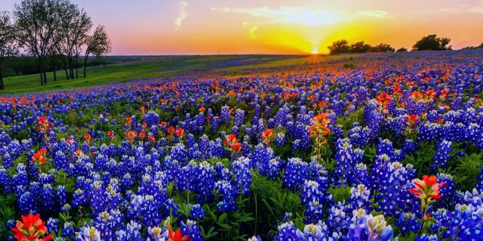 2560x1600 Texas Desktop Wallpapers - Top Free Texas Desktop Backgrounds -  WallpaperAccess