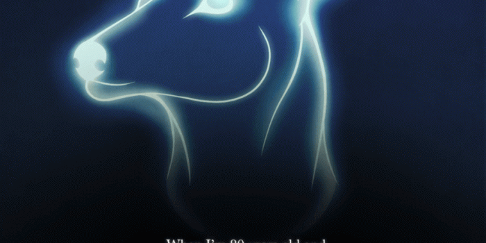 1024x1365 Harry Potter Always Wallpapers