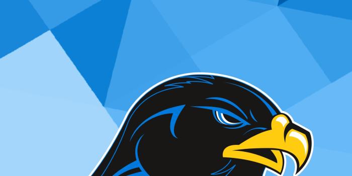 2160x3840 Nighthawk Wallpapers — Hettinger Public School
