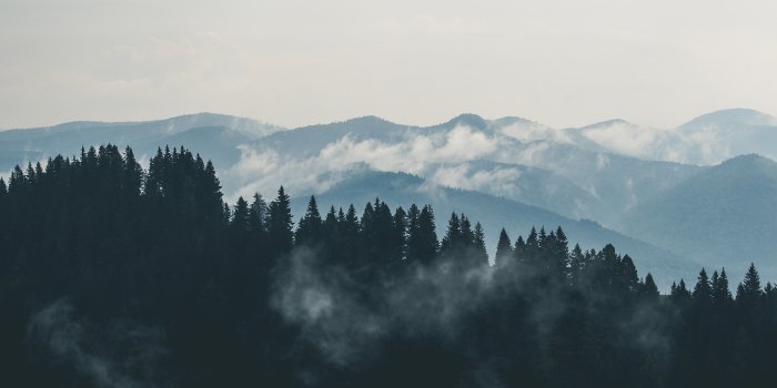 1920x1200 50,000+ Best Desktop Wallpaper Photos · 100% Free Download · Pexels Stock  Photos