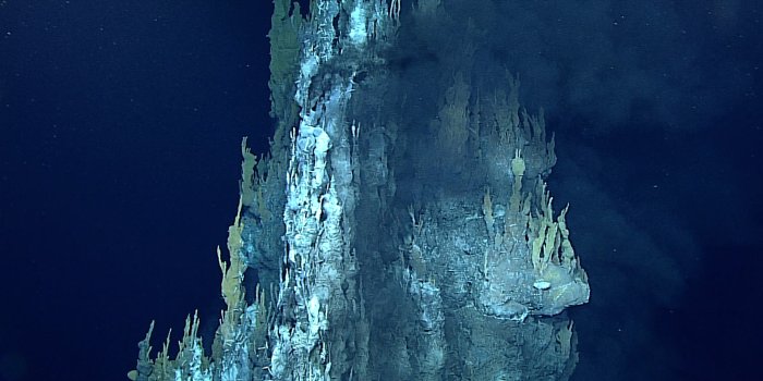 1920x1200 Multimedia: Desktop Wallpaper: NOAA Ocean Exploration