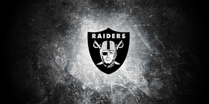 1920x1200 Raiders Wallpapers - Top Free Raiders Backgrounds - WallpaperAccess