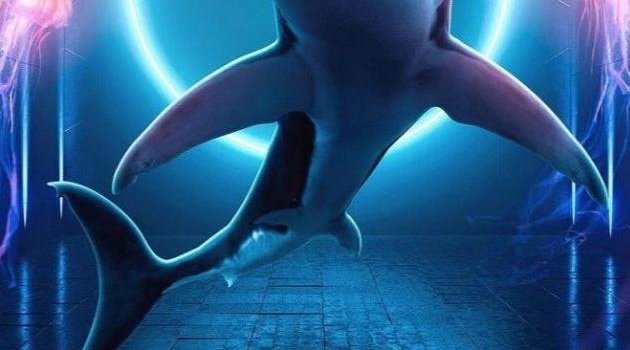 630x1280 Shark wallpaper by Pedualo - Download on ZEDGE™ | c9fb