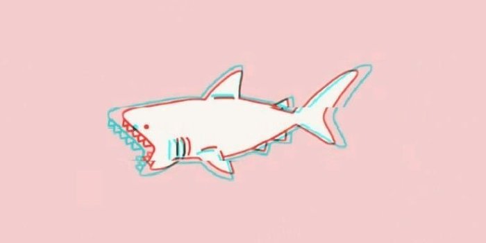 736x1309 Cute Shark Wallpapers