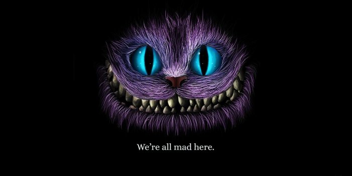 1920x1080 We Are All Mad Here Cheshire Cat Wallpaper, HD Artist 4K Wallpapers,  Images, Photos and Background - Wallpapers Den