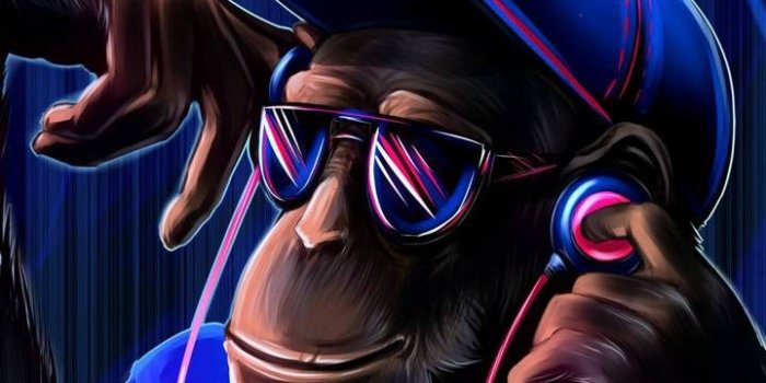 720x1280 Download Crazy Wallpaper by deadsh0t007 - 04 - Free on ZEDGE™ now. Browse  millions of popular crazy … | Crazy wallpaper, Monkey wallpaper, Graffiti  wallpaper iphone