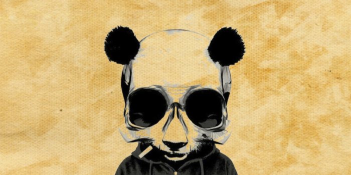 1024x1024 Crazy Panda - Full HD Ultra HD Desktop Background Wallpaper for 4K UHD TV :  Widescreen & UltraWide Desktop & Laptop : Tablet : Smartphone