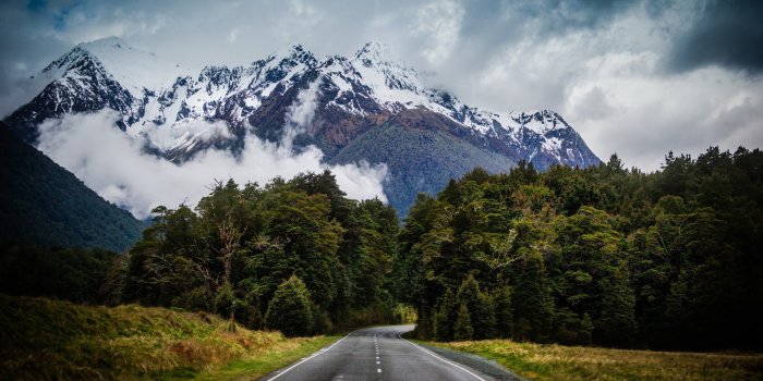 2560x1600 road, New Zealand Wallpapers HD / Desktop and Mobile Backgrounds