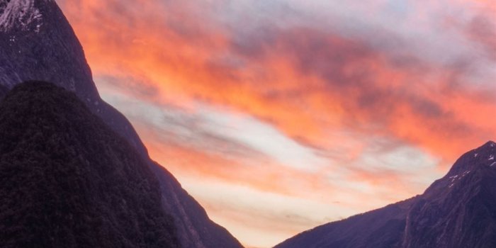 1125x2436 milford sound new zealand #newzealand #mountains #nature #4k #5k  #iPhoneXWallpaper | Wallpaper, Milford sound, Nature wallpaper