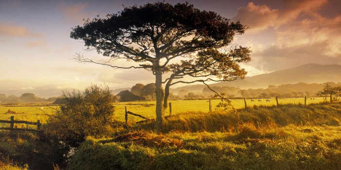 2000x1333 180+ New Zealand HD Wallpapers and Backgrounds