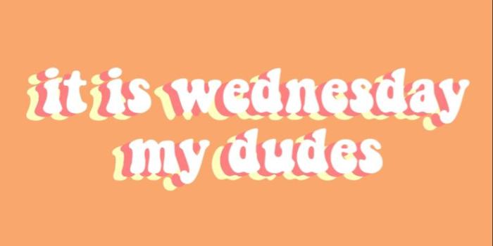 738x1200 it is wednesday my dudes ~ wallpaper | Iphone wallpaper tumblr aesthetic,  Aesthetic iphone wallpaper, Picture collage wall