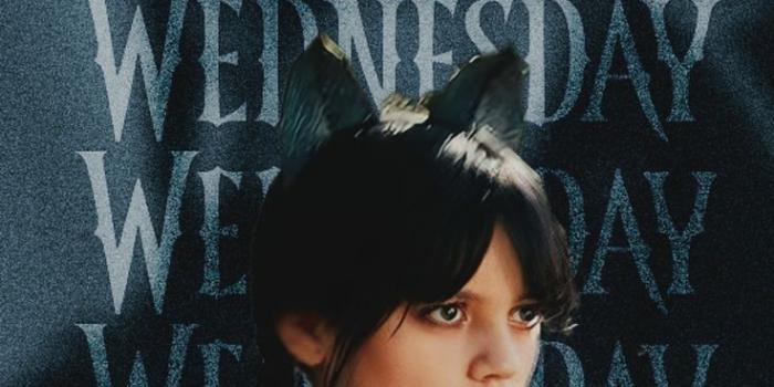 736x1461 Some more of Wednesday Wallpapers : r/WednesdayTVSeries