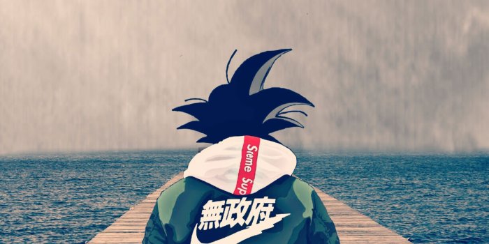 2043x2043 Drip Goku Wallpaper, Supreme - Wallpaperforu